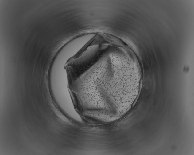 X0000089440389200707131910