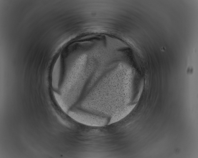 X0000089440390200707131910