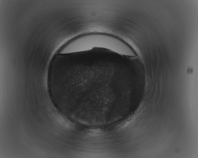 X0000089440391200707131910