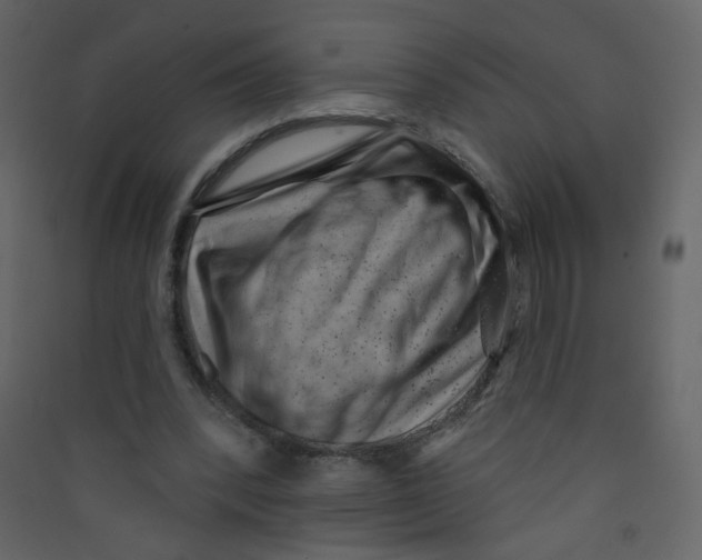 X0000089440392200707131910