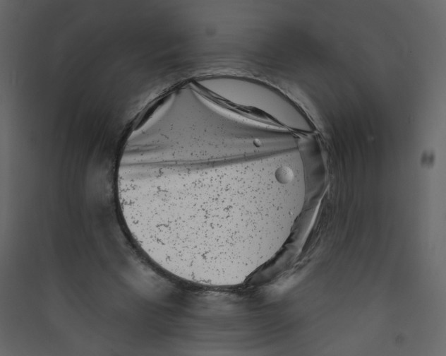 X0000089440393200707131910