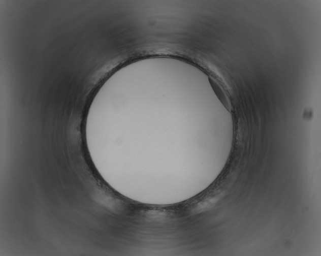 X0000089440394200707131910