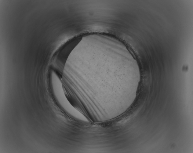 X0000089440395200707131910