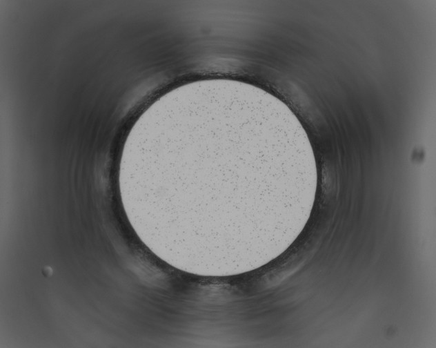 X0000089440396200707131910