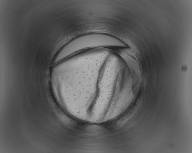 X0000089440397200707131910