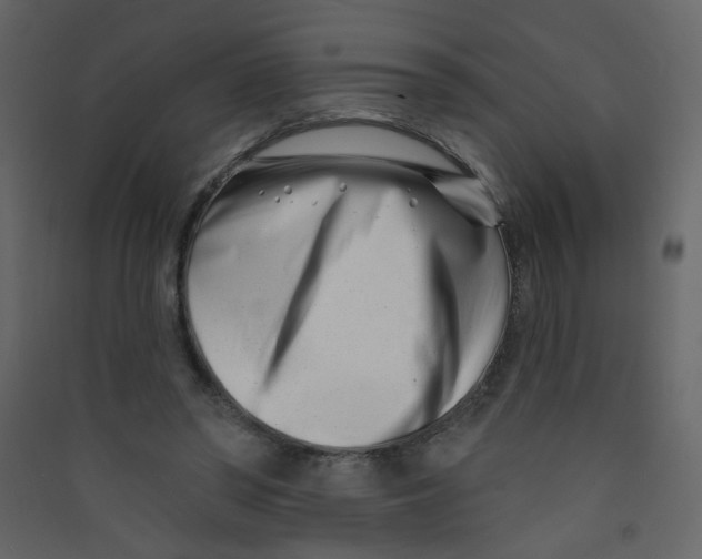 X0000089440398200707131910