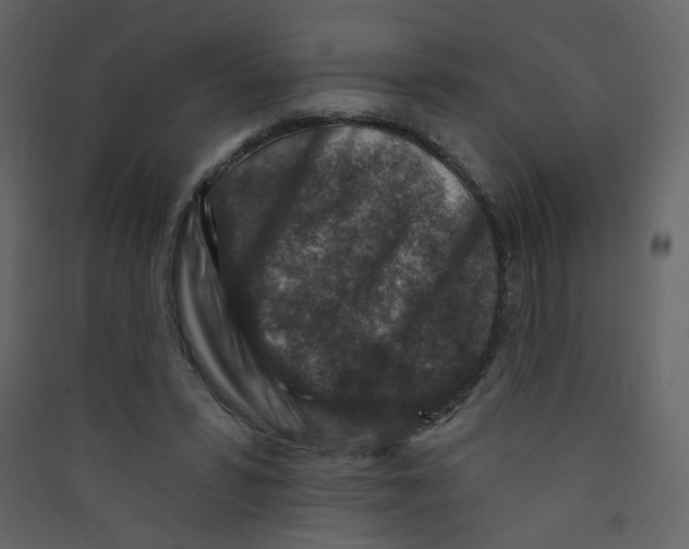 X0000089440399200707131910