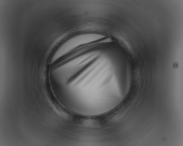 X0000089440400200707131910