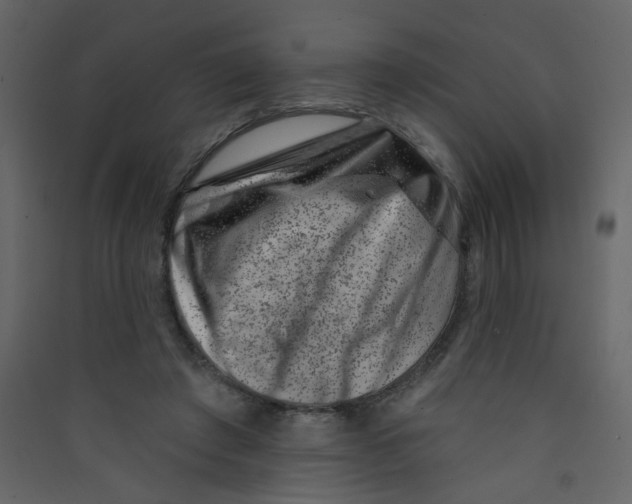 X0000089440401200707131910