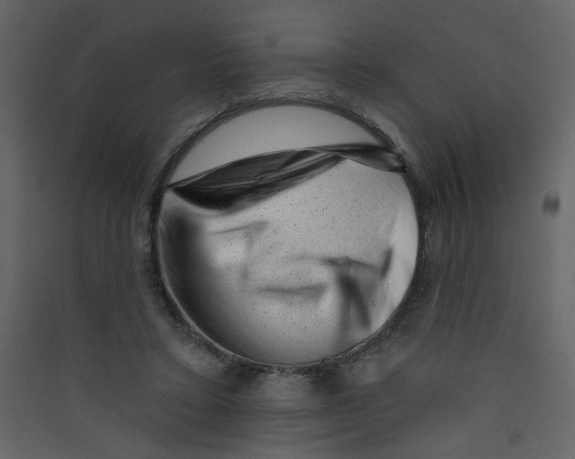 X0000089440403200707131910