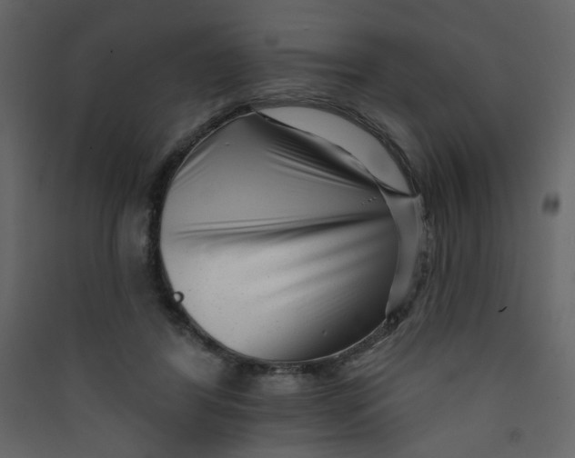 X0000089440404200707131910