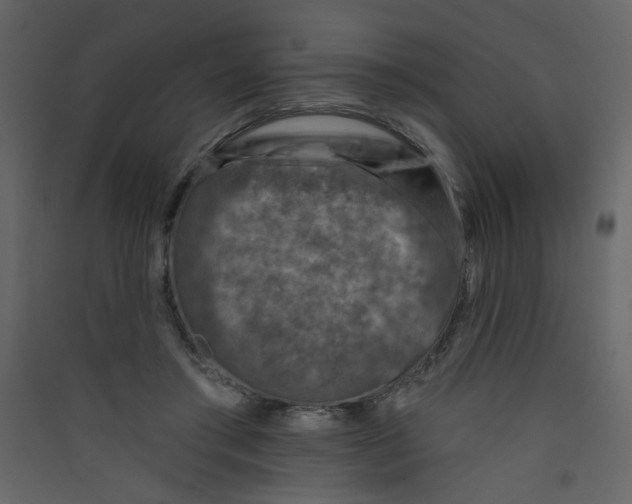 X0000089440405200707131910