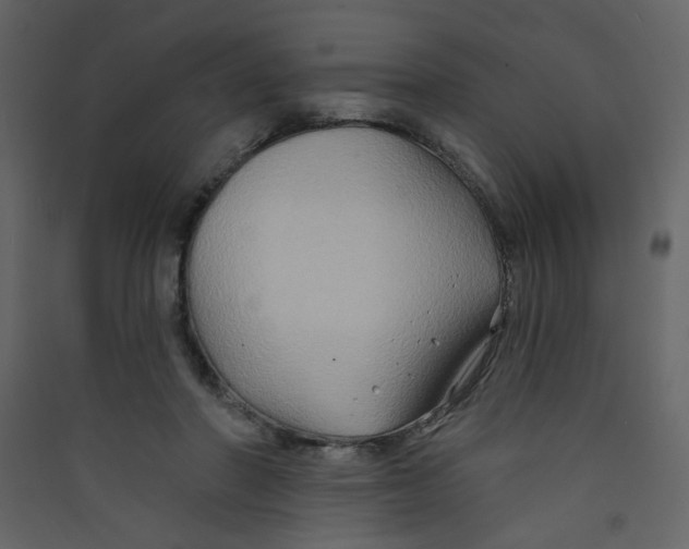 X0000089440406200707131910