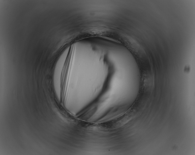X0000089440408200707131910