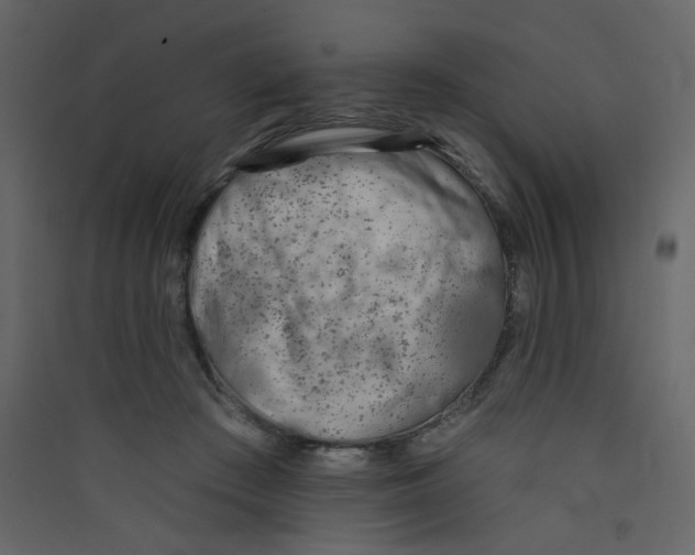 X0000089440409200707131910