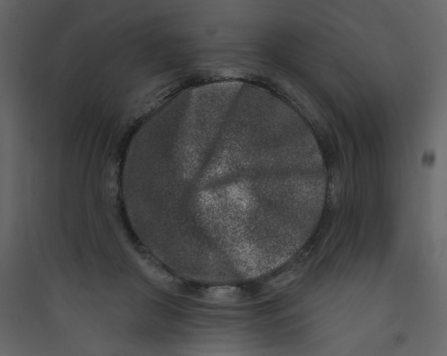 X0000089440410200707131910