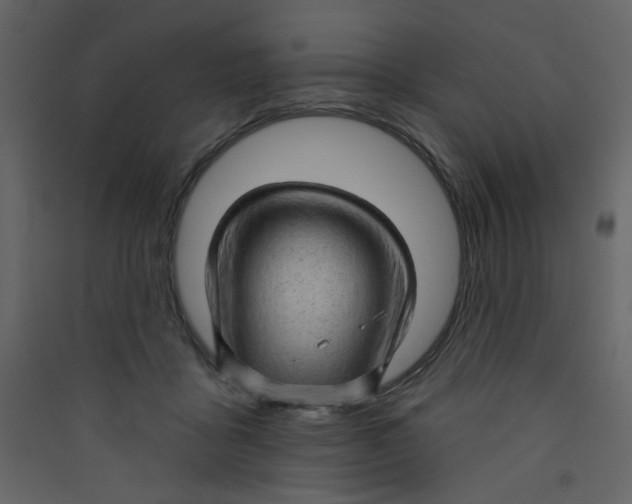 X0000089440411200707131910