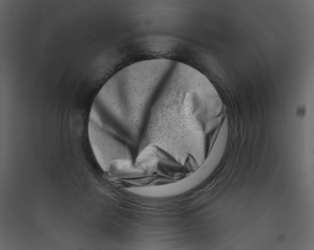 X0000089440412200707131909