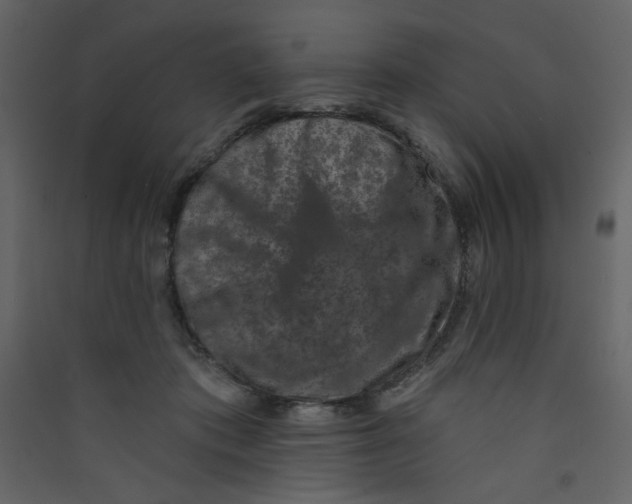 X0000089440413200707131909