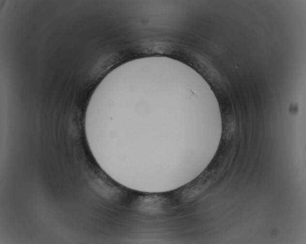 X0000089440414200707131909