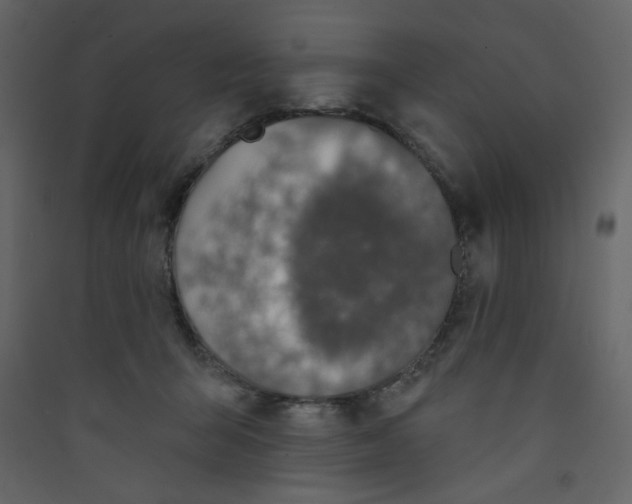 X0000089440415200707131909