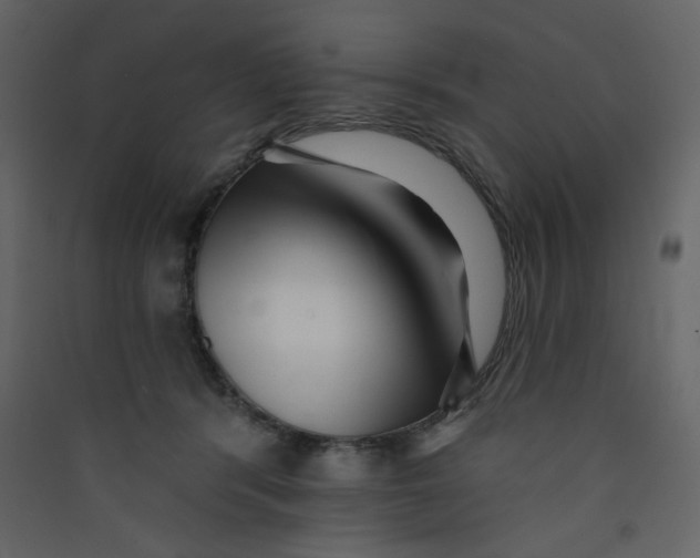 X0000089440416200707131909