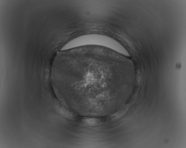 X0000089440417200707131909