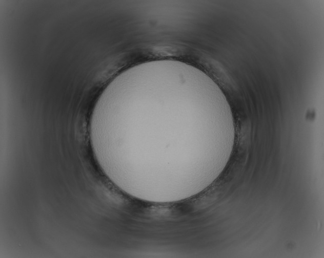 X0000089440418200707131909