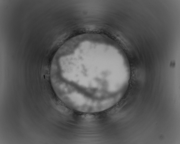 X0000089440419200707131909