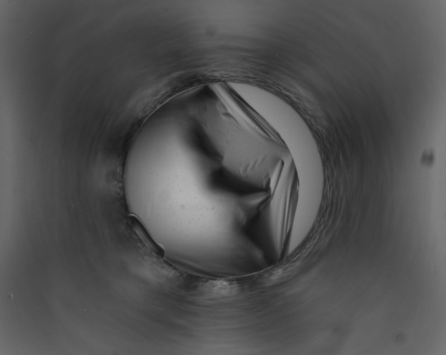 X0000089440421200707131909
