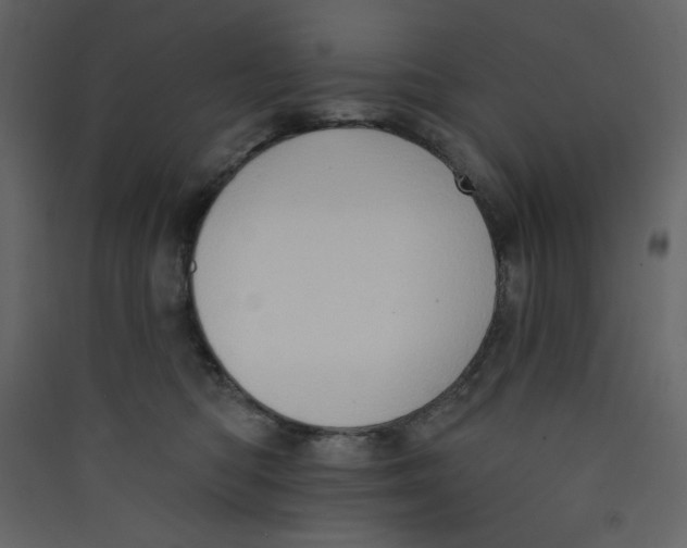 X0000089440422200707131909