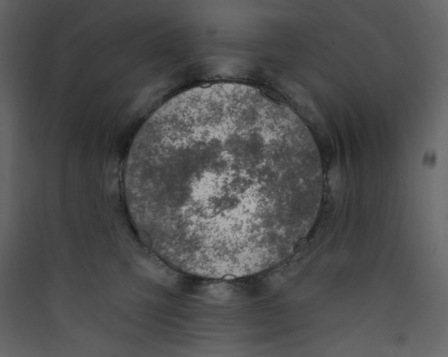 X0000089440423200707131909