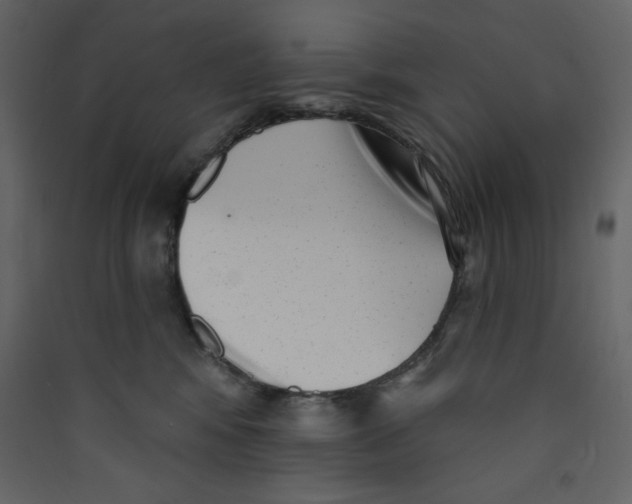 X0000089440424200707131909