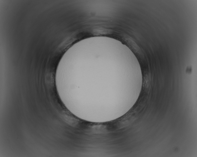 X0000089440426200707131909