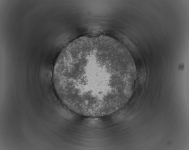 X0000089440427200707131909