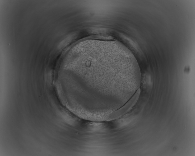 X0000089440428200707131909