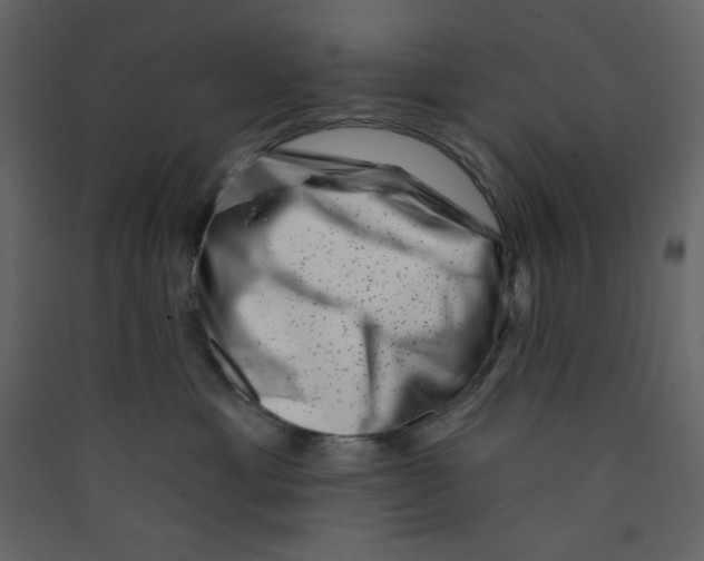 X0000089440429200707131909