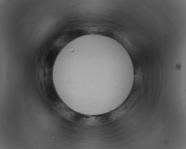 X0000089440430200707131909