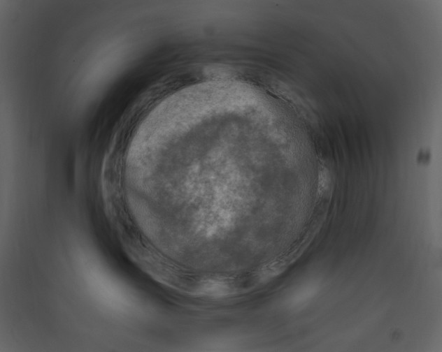 X0000089440431200707131909