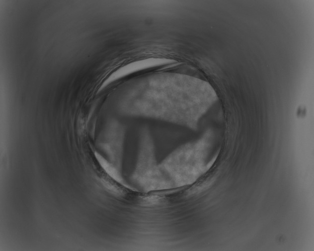 X0000089440432200707131909