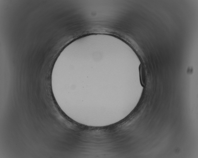 X0000089440433200707131909