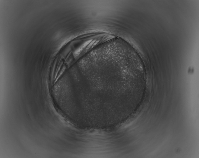X0000089440434200707131909