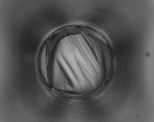 X0000089440436200707131909
