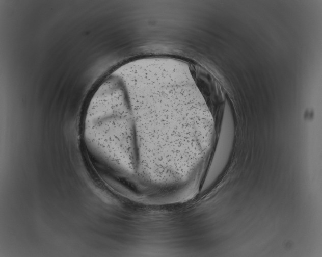 X0000089440438200707131909