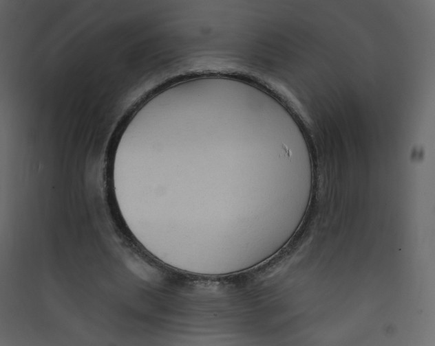 X0000089440439200707131909
