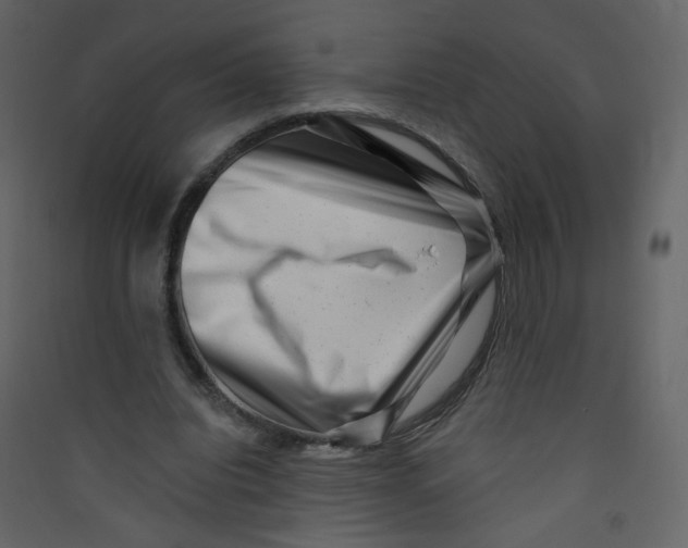 X0000089440440200707131909