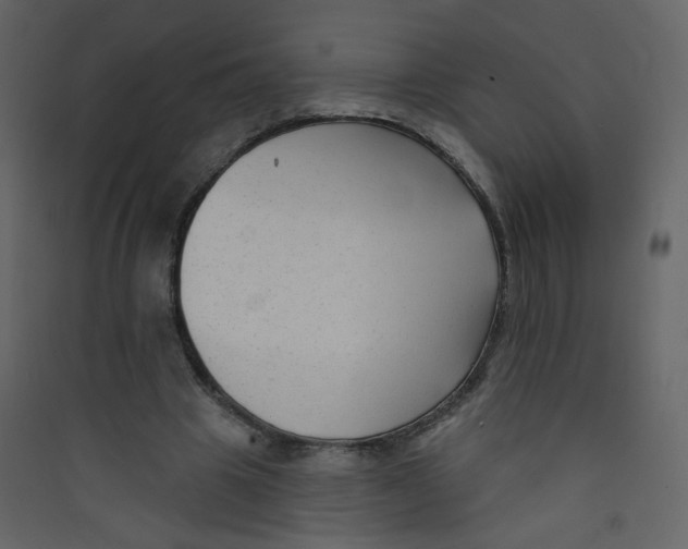 X0000089440441200707131909