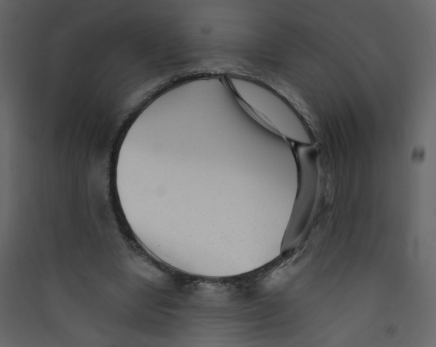 X0000089440442200707131909
