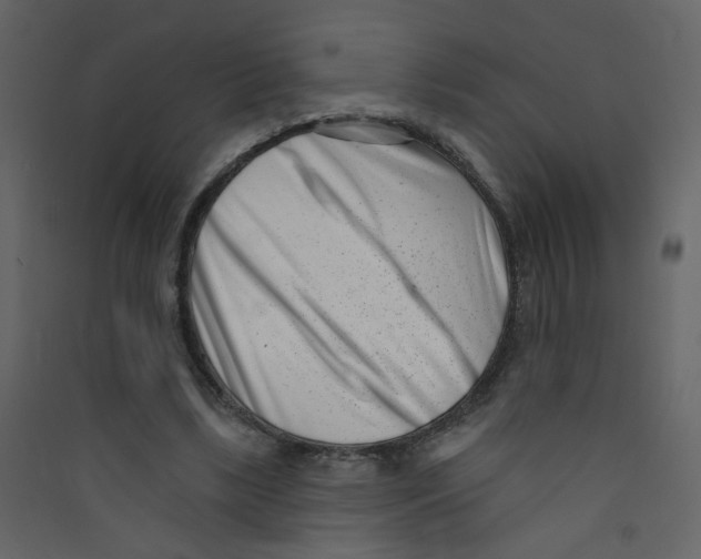 X0000089440443200707131909