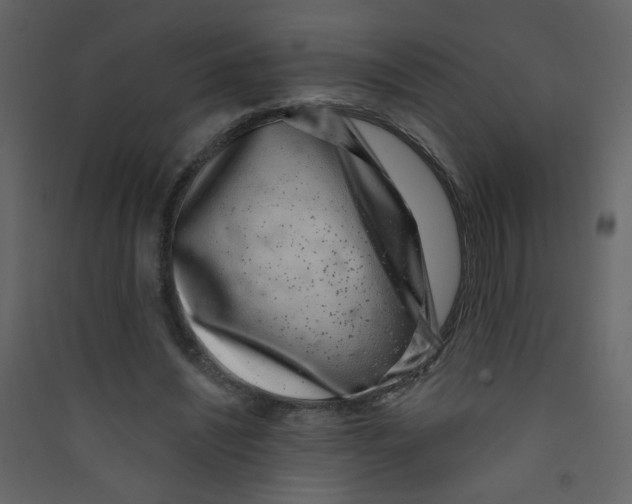 X0000089440444200707131909